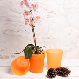 Home Garden Ornaments Orchid Pots, Flower Planter - Decorative Semi Transparent Plastic Orchid Pot with Inner Cone for Hydration, Set of 3 (Diameter: 12cm, Colour: Orange)