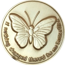 RecoveryChip If Nothing Changed There'd Be No Butterflies Bronze Serenity Prayer Medallion Butterfly Pocket Token
