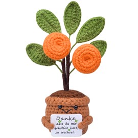 Mwmoeen Pocket Hug Positive Flower, Creative Knitting Wool, Positive Sunflower, Positive Potato, Positive Cactus, Best Friend Gifts for Girlfriend, Small Gifts for Women