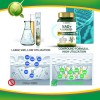 Vantein Suplemento Nad+ 1000mg 120 Cápsulas Precursor Nmn