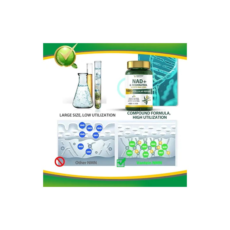 Vantein Suplemento Nad+ 1000mg 120 Cápsulas Precursor Nmn