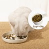 Slow Feeder Bowl for Cats and Small Dogs,Cilkus Fish Pool