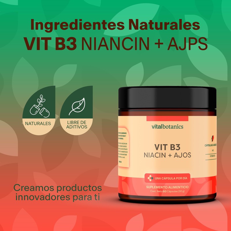 Vitamina B3 / Niacina y Ajo. Con 60 capsulas de