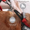 EzyDog Express Dog Harness - Adjustable Dog Harness for Large,