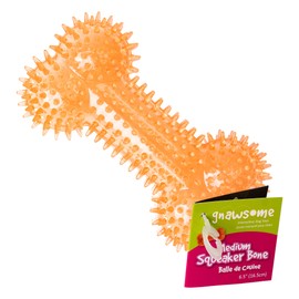 Gnawsome Medium Squeaker Bone for Dogs                                                                                                                
