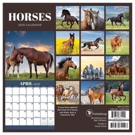 TF PUBLISHING 2025 Horses Mini Calendar - Large Grids for Appointments and Scheduling - Vertical Monthly Wall Calendar 2025 - Home and Office Organization - Premium Thick Gloss Paper - 7"x7"