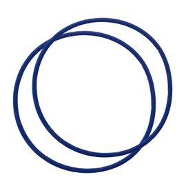 Pool Ruler DEX2400Z5 O-Ring Two Pack + Lubricant for Hayward Outlet Elbow for Micro-Clear & Pro-Grid D.E. Filters & Swim-Clear & HCF Cartridge Filters