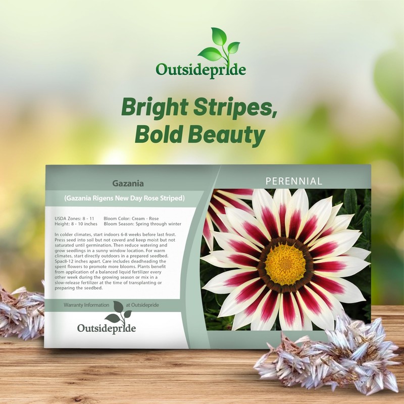 Outsidepride New Day Rose Striped Gazania Seeds for Planting –
