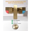 Tohlar Brushed Gold 2 Handle 4 Inch Centerset Bathroom Faucet