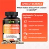 Rimo Nutrition Apricot Capsules (120 Capsules) (Pack of 1)