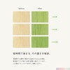 Paleton Green Shampoo, Color Shampoo, Green, Damage Care, Beauty Salon