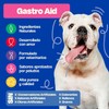 Dogelthy Gastro Aid. Pre + Probioticos con +3 Billones de