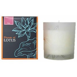 Bloom of Lotus hureguransukyandoru Rose G