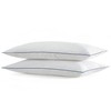 SILUI Flat Soft Thin Pillows Standard Size Set of 2