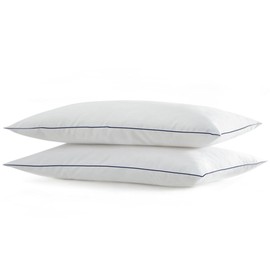 SILUI Flat Soft Thin Pillows Standard Size Set of 2 Pack Bed Pillow with Down Alternative Fill for Side Back Stomach Sleepers, 20x26 Inches, White
