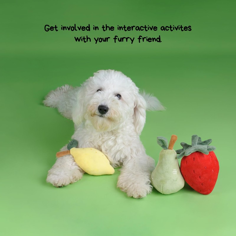 CHEWFFON Squeaky Dog Toy, Plush Lemon for Small and Medium