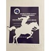 DCentral® Rodeo Flexible Vinyl Safety Screen Magnets: Double-Sided. White-Easier to