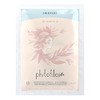 PHITOFILOS Shikakai 100 g Vegan
