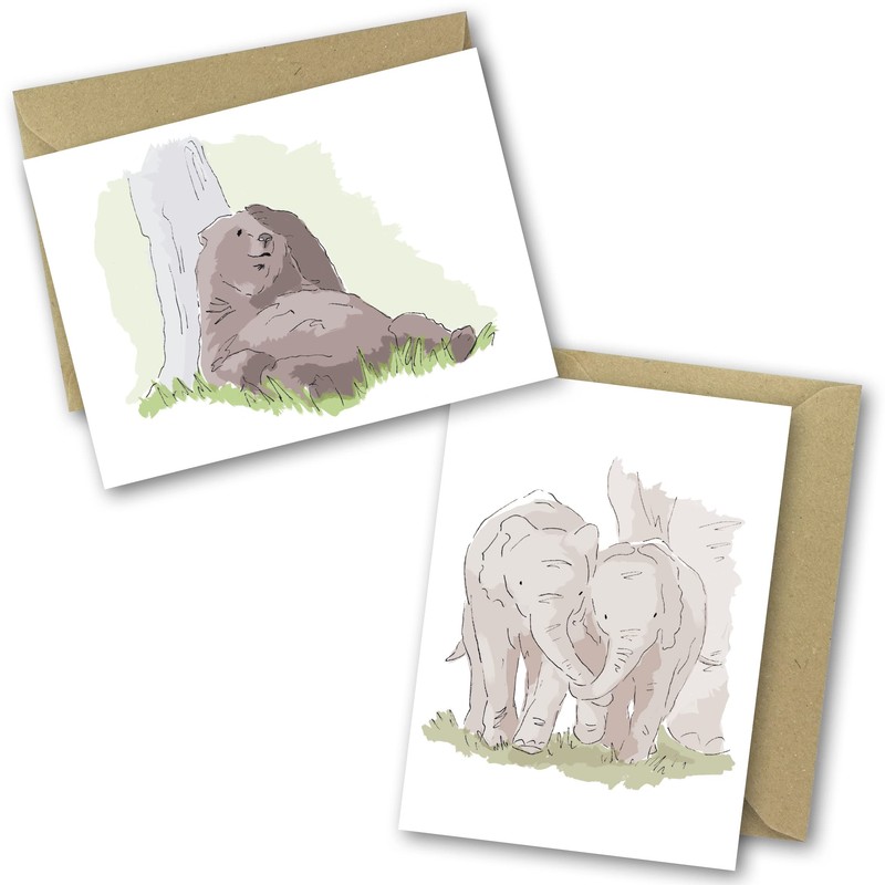 Greetings Cards for All Occasions. 24 Pack includes 6 Animal