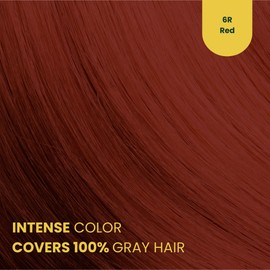 Herbal Time Phytocare Permanent Hair Dye Color Red 6R | Professional Natural Hair Dye Kit | Nourish and Protect Your Hair | Ammonia, PPD and SLS Free | 124.5 ml