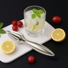 CLOVE Citrus Reamer 100% 18/10 Stainless Steel Lemon Squeezer Dishwasher