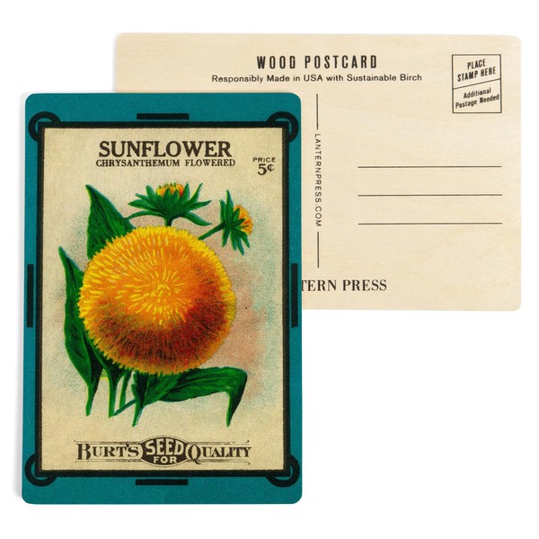 Sunflower Seed Packet (4x6 Birch Wood Postcards, 2-Pack Stationary, Rustic
