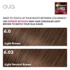 Garnier Hair Color Express Retouch Gray Hair Concealer, Instant Gray
