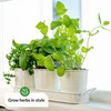 Herb Planter Indoor | Grow Fresh Herbs At Home |