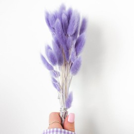 60PCS Rabbit Tail Grass Dried Flowers Dried Natural Floral Arrangement Bunch Decoration Dried Grass,Eternal Flower Dried Grass for Home,Wedding,Party,Flower Bouquet,Photo Props Decor (Purple)