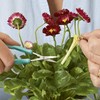PETA Easi-Grip Nail Scissors with Protector - Self-Opening Stainless Steel