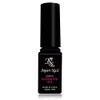 Japanese Nail Blooming Gel Nail Artist Series Gel Nail