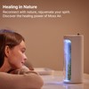 Mosslab Moss Air – Living Moss Terrarium Humidifier | Soothing