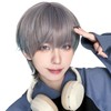 Peacoco Wig, Men's Men's Wig, Wolf, Natural, Easy, Handsome Cosplay,