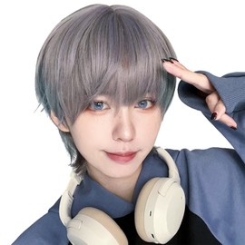 Peacoco Wig, Men's Men's Wig, Wolf, Natural, Easy, Handsome Cosplay, For Everyday Use, Unisex, Small Face, Heat Resistant, Flashy Hair, Silver, Gray, Blue, Net Included