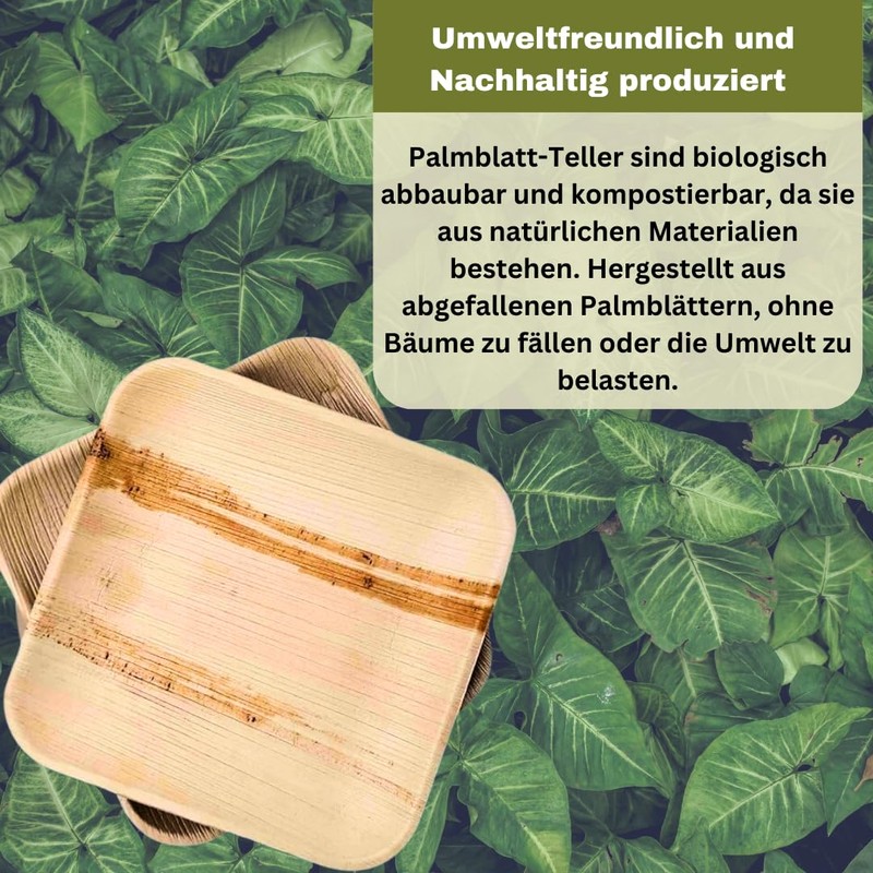Greenkaufen 15 cm Pack of 25 Premium Organic Round Palm