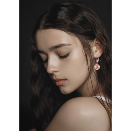 S925 Sterling Silver Rose Heart Round Ball Dangle Drop Leverback Cage Filigree Earrings for Women