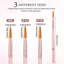 3 Pcs Acrylic Brushes for Nails Nylon Acrylic Nail Brushes Set Size 8/10/14 Powder Brush for Application Powder Extension and 3d Carving Diy Home Salon Manicure Tool, Pink