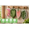 4Pcs Leaf Shaped Hand Towels, Hanging Kitchen Towels, Decorative Bathroom