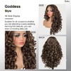 SOKU Long Curly Lace Front Wig for Black Women Highlight