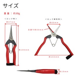 Takagi Stainless Steel Bud Cutting and Picking Shears, 7.3 inches (185 mm), Gardening Scissors, Cutting Capacity Approx. 0.2 inches (4 mm), Thin Blade and Lightweight Approx. 3.1 oz (89 g), Made in