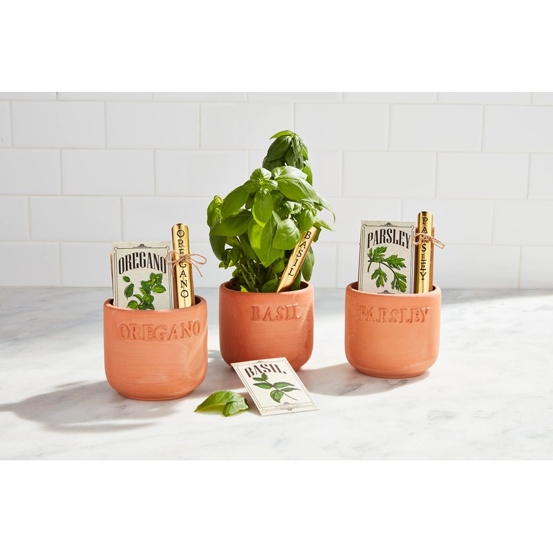 Mud Pie Oregano Herb Planting Set