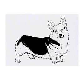 'Welsh Pembroke Corgi' Temporary Tattoo - Water Resistant, Skin-Safe, Non-Toxic Transfer (TO00041950)