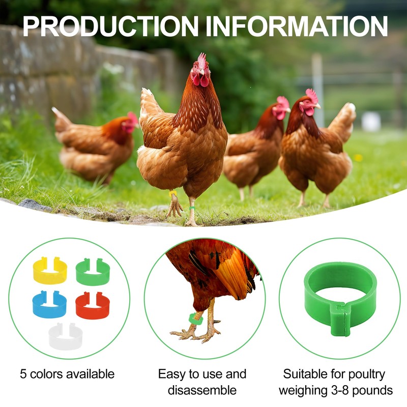 20Pcs Chicken Leg Rings Reusable Chicken Identification Leg Bands Multicoloured