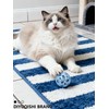 DIYUQISHI 10-Pack Cat Toy Balls with Bells for Kittens and