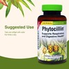 Herbs Etc. Phytocillin - Respiratory & Digestive Health Support Supplement