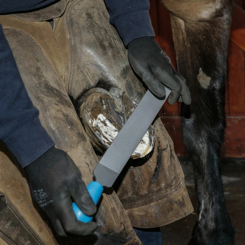 Heller NEW Hoof Rasp Farriers Tool 14" Horse Heller Excel