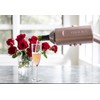 Vinglacé Wine Bottle Chiller- Portable Champagne Insulator- Stainless Steel Wine