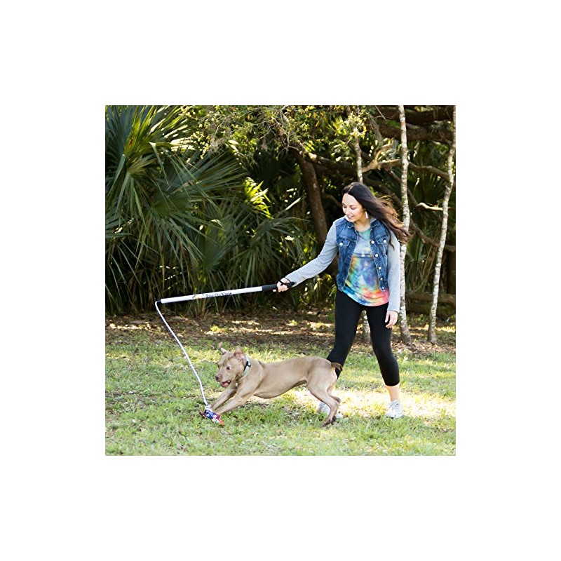 Squishy Face Studio Flirt Pole V2 with Lure - Durable