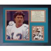 Legends Never Die "Dan Marino Portrait Framed Photo Collage, 11
