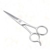 VICASKY Stainless Steel Beard Eyebrow Scissors Durable Hairdressing Accessory for